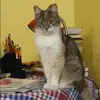 Отзыв от Алла Болдырева